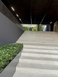 8 Napier (D10), Condominium #501905121